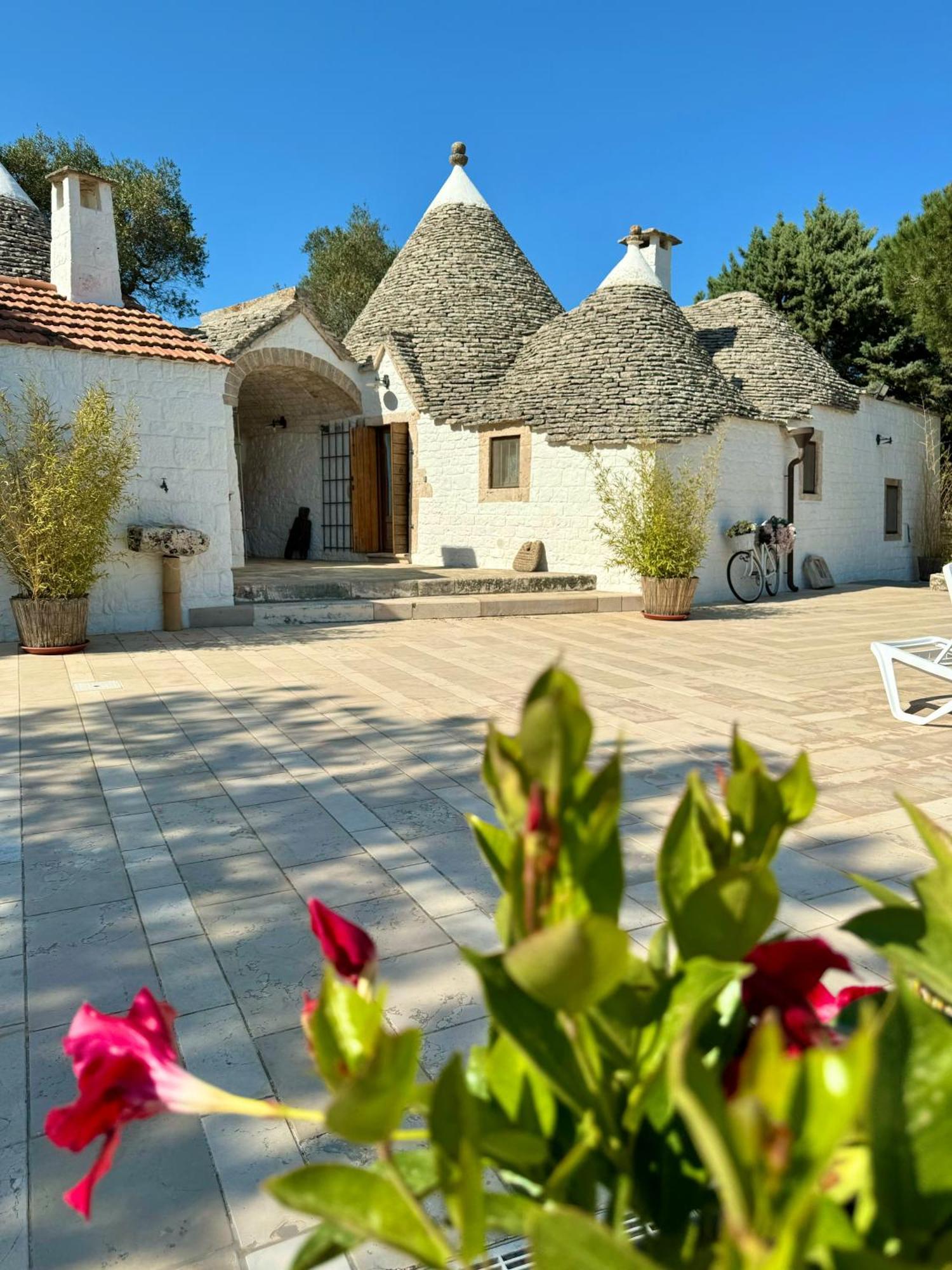 Trulli Bosco Selva Apartment Alberobello Ngoại thất bức ảnh